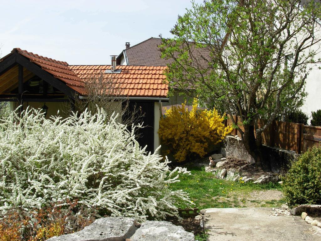 Chambres D'Hotes "Les Chiens Verts", Jardin, Terrasse, Parking Prive オトヴィル・ロンプヌ エクステリア 写真